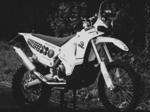 450 Rally